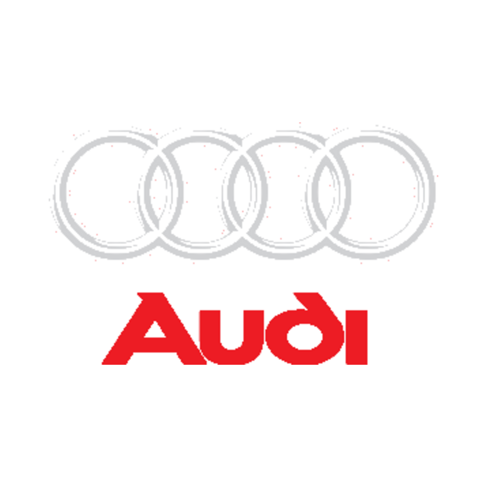 Transmisión y suspensión / Elementos de poliuretano / Audi
