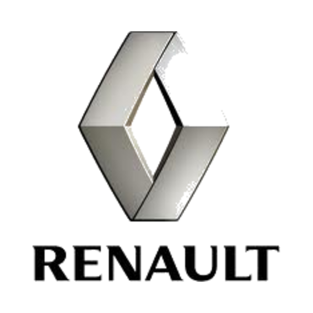 Transmisión y suspensión / Elementos de poliuretano / Renault
