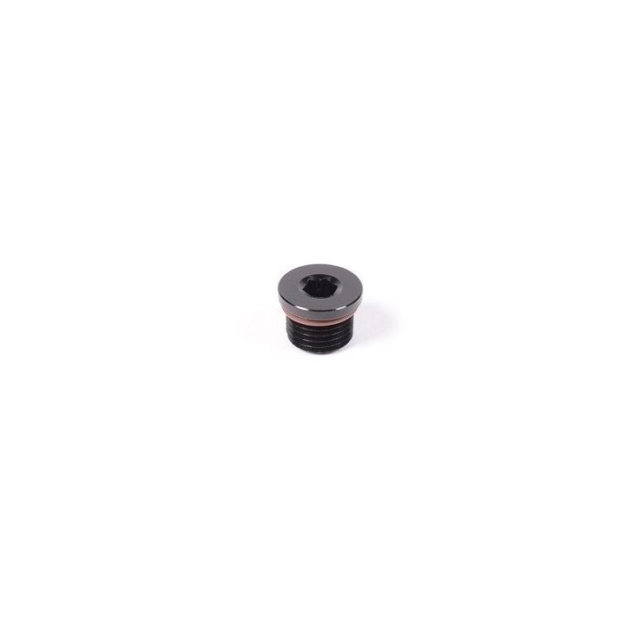 Radium Engineering ORB 4AN Fitting