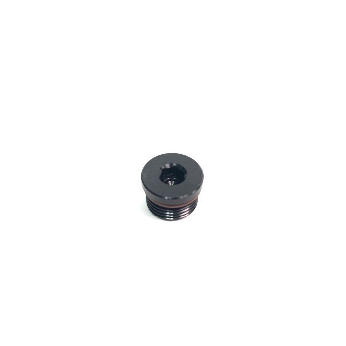 Radium Engineering 10AN ORB Fitting