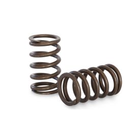 Spring set Kelford Cams for Nissan RB20DET RB25DET
