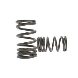 Spring set Kelford Cams for Nissan A12-A15