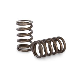Spring set Beehive Kelford Cams for Nissan RB25DET NEO Drop-In