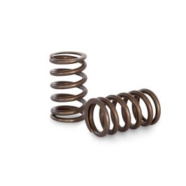 Spring set Kelford Cams for Toyota 1G-GTE