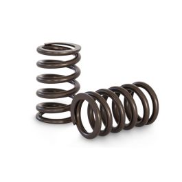 Spring set Kelford Cams for Toyota 1FZ