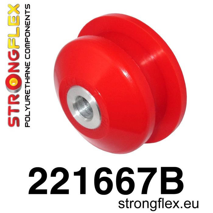 221667B: Front swingarm bush rear