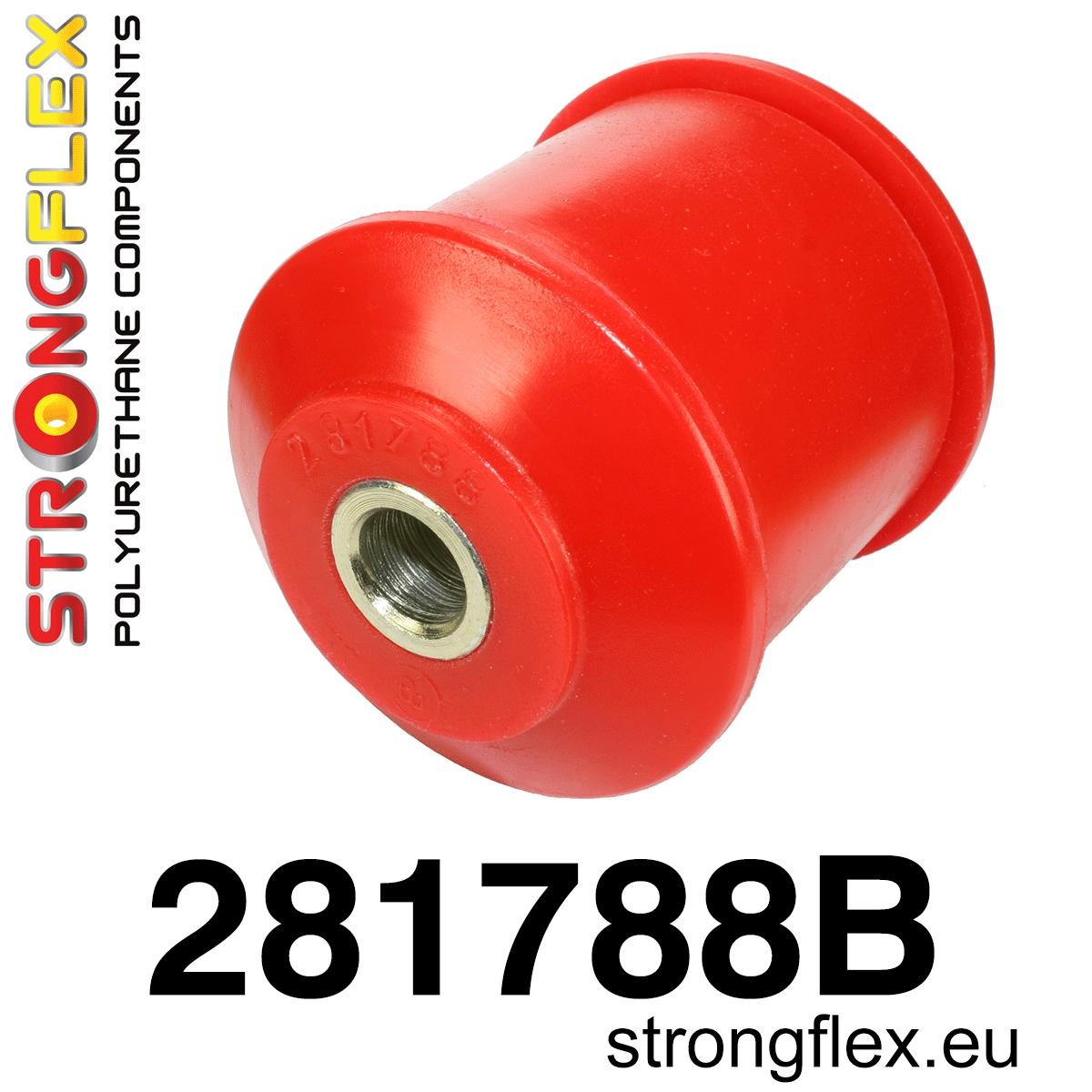 281788A: Silentblock del tirante inferior delantero al chasis GT-R