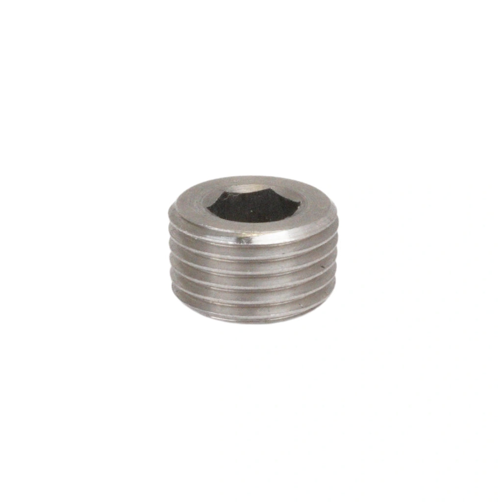1/8" NPT macho de acero inoxidable