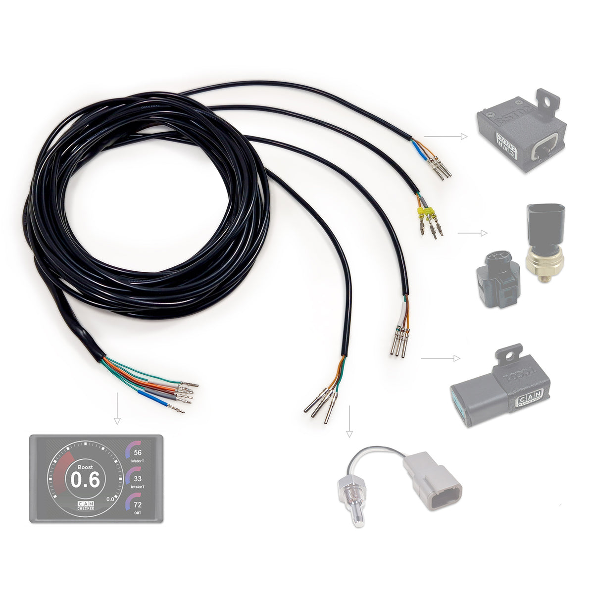 CANchecked ANC04 Mazo de cables compatible con sensores analógicos