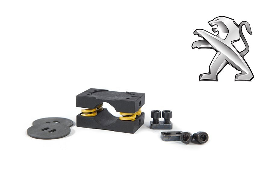 Kit de conversión LSD BE3 y BE4 para Peugeot Citroen