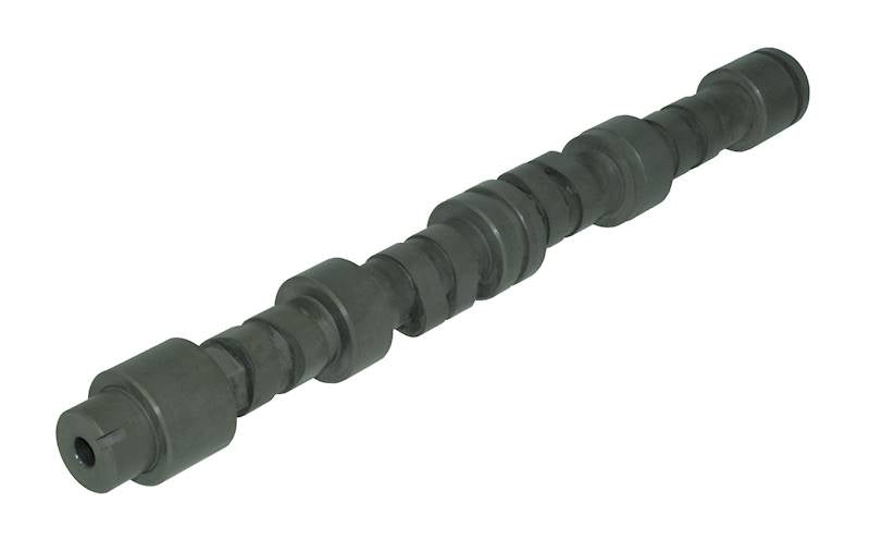 Árbol de levas Tuning Swiatek para Dacia Logan 1.4 8v Stage GT