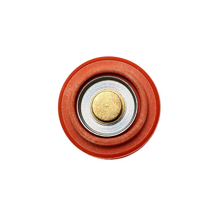 Radium Engineering FPD Diaphragm Replacement Service