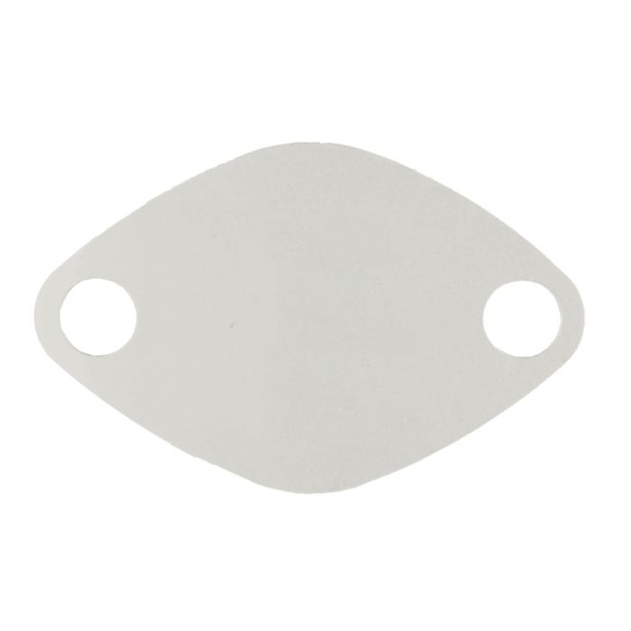 FMIC.EU EGR Valve Blanking Plate for Renault Opel with 2.0 2.5 dCi 2.5 CDTI engines