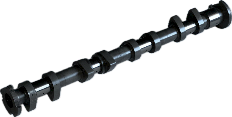 Swiatek Intake Camshaft for Hyundai 1.6 16vl Stage W