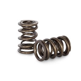 Dual Spring set Kelford Cams for Honda H22A