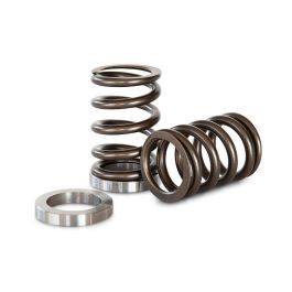 Spring set Kelford Cams for Subaru EZ30
