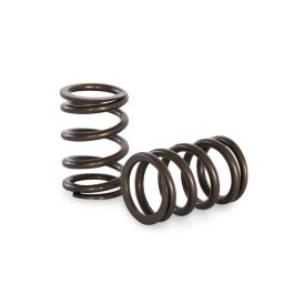Spring set Kelford Cams for Formula Ford 105E-116E