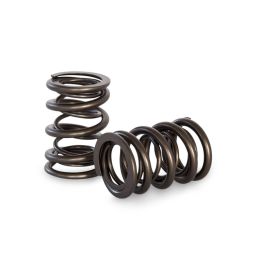 Dual Spring set Kelford Cams for Ford Nissan Toyota