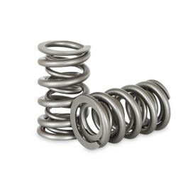 Dual Spring set Kelford Cams for Chevy LS1