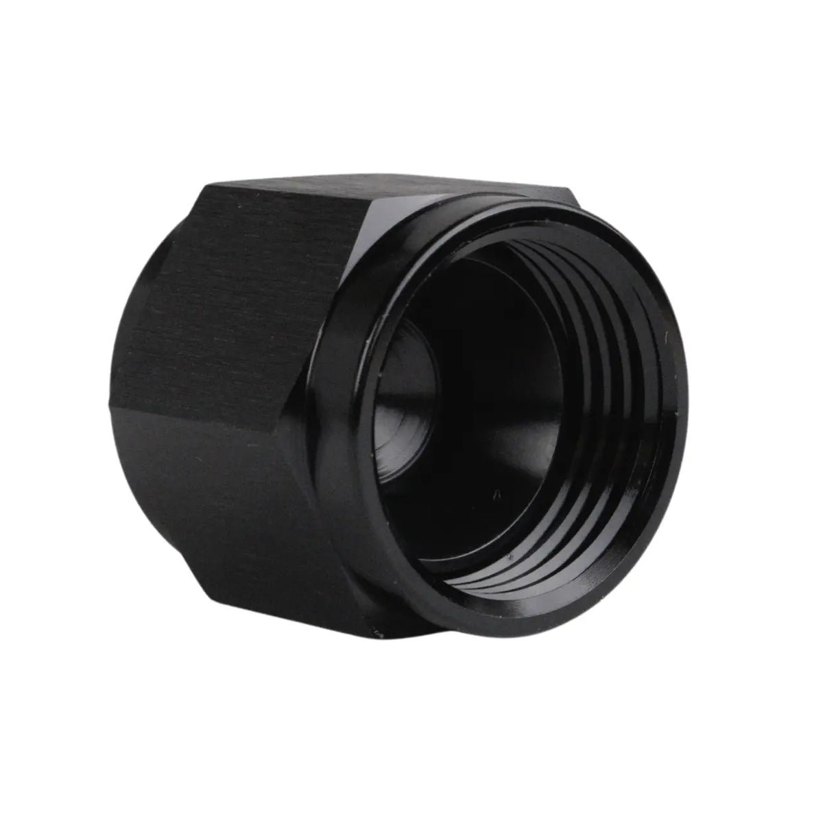Tapón hembra AN10