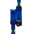Formula FMIC.Pro 6-point FIA 2031 8853-2016 racing harness, 2" x 2", blue