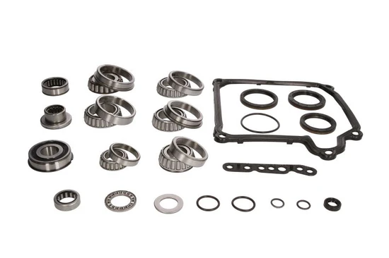 Kit de rodamientos de caja de cambios RTMG Performance compatible con DQ250 02E