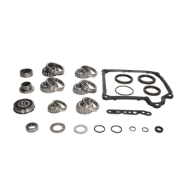 RTMG Performance Gearbox Bearing Kit Fits DQ250 02E