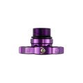 Tapón de aceite modular 12AN morado Turbosmart TS-0891-0073