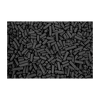 Radium Engineering Fuel Vent Activated Carbon Filter Service Kit