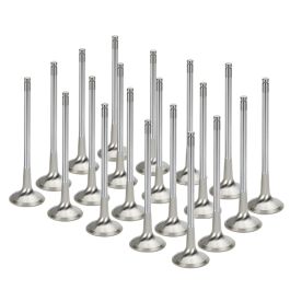 Exhaust Valves Inconel SuperTech for BMW S85 V10