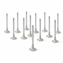 ZRP Std Exhaust Valves Inconel for Lamborghini 5.2L Gallardo Huracan 2008-