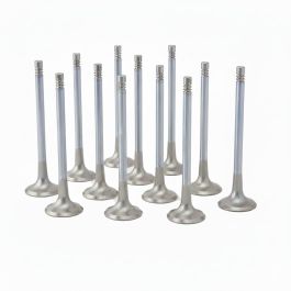 ZRP Std Exhaust Valves Inconel for BMW 3.0L N54