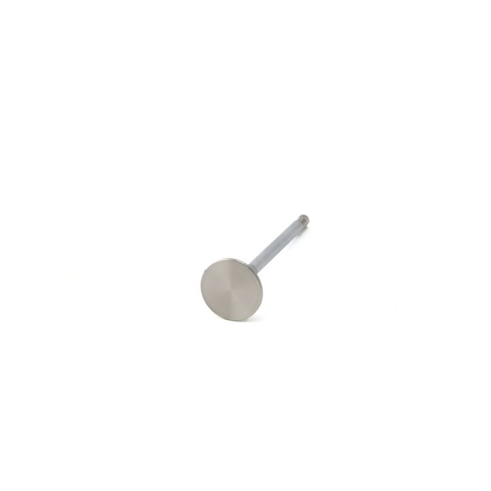 ZRP Std Inconel Exhaust Valves for BMW 3.0L N55 S55