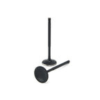 Válvulas de admisión ZRP Std Black Nitride para Lamborghini 5,2L Gallardo Huracan 2008-