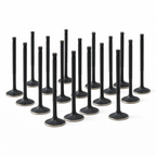 Válvulas de admisión ZRP Std Black Nitride para Lamborghini 5,2L Gallardo Huracan 2008-