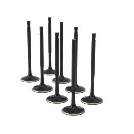 ZRP Std Intake Valves Black Nitride for Peugeot Citroen 1.6L TU5JP4