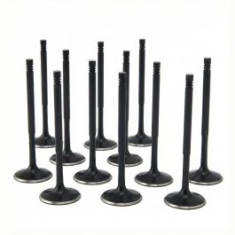 ZRP Std Intake Valves Black Nitride for BMW 3.0L B58