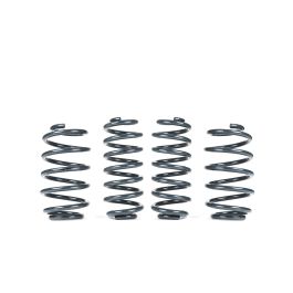 RacingLine Sports Spring Kit A5-Platform FWD for VW Golf 5 6 GTI Seat Leon 2 Cupra Passat CC