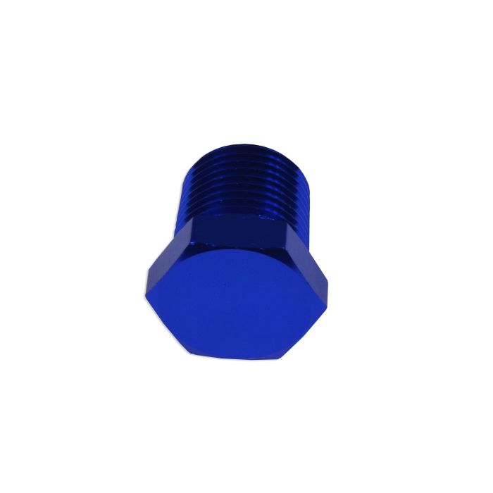 Adapter 3/8 NPT Hex Head Socket Locking Plug Blocker Male Oil Fuel Blue