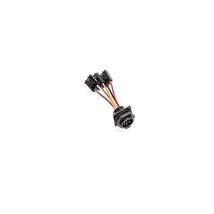 Arnés de mamparo interno universal triple para bomba Walbro GSS342 de Radium Engineering