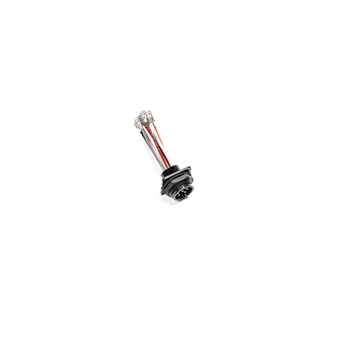 Arnés de mamparo interno triple para bomba Walbro F90000262 Radium Engineering