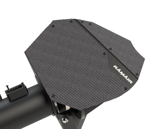 Kit de admisión con filtro de aire Ramair con tapa de carbono JSK-310-BK para BMW F20 F21 F22 F23 F30 F31 F32 F33 F80 F82 F83 F87 135i 235i M2 3.0T N55