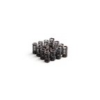 RTMG Performance stiffer valve springs for 1.4 TSI EA111