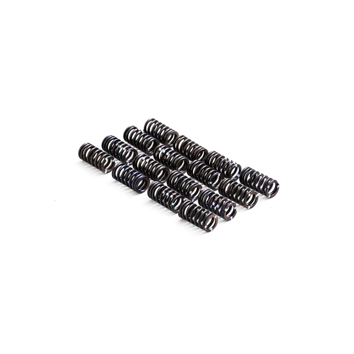 RTMG Performance stiffer valve springs for 1.4 TSI EA111
