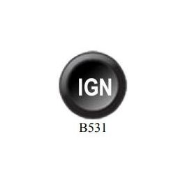 Insert button 15mm B531 Ecumaster