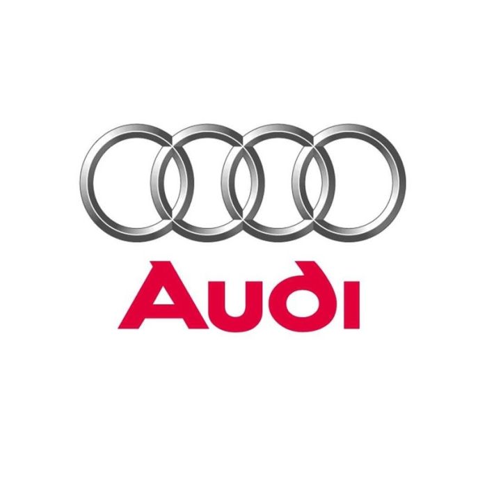 Intercooler Audi A4 3.0 TDI B7 Green Fmic.eu Without