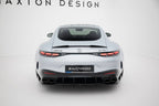 Extensión de alerón 3D para Mercedes-AMG GT 63 / 55 / 63 S E Performance C192