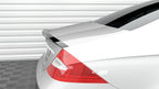 Extensión de alerón para Mercedes-Benz CLS C219
