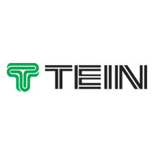 Pegatina con logo Tein verde y - 20 cm