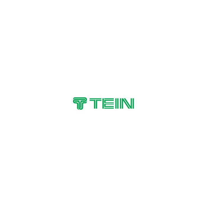 Tein Green logo sticker - 20 cm